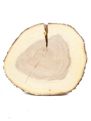 Спил дерева вяз d 32-36 см ТВ-1522