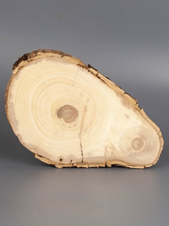 Спил дерева ясень d 13-20 см ТВ-1805