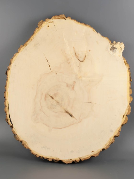 Спил дерева клён d 40-44 см ТВ-2011