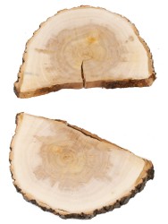 Спил дерева ива d 19-28 см ТВ-1523