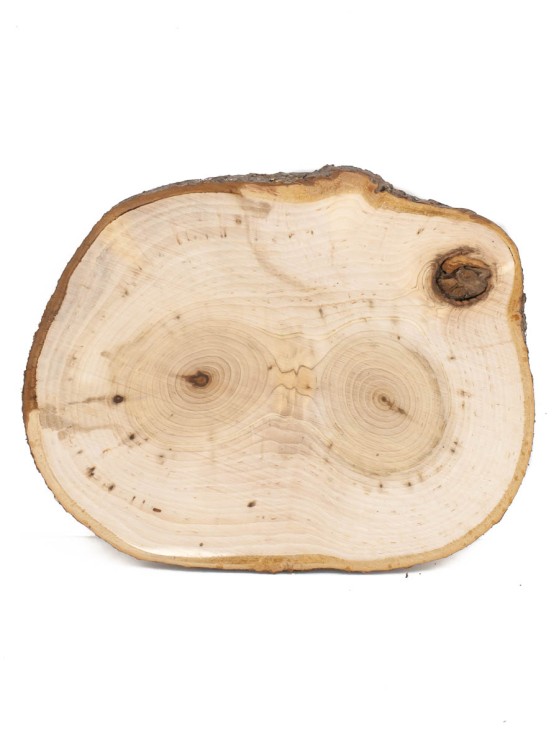 Спил дерева липа d 13-18 см ТВ-1484