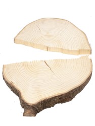 Спил дерева ель d 37-44 см ТВ-1524