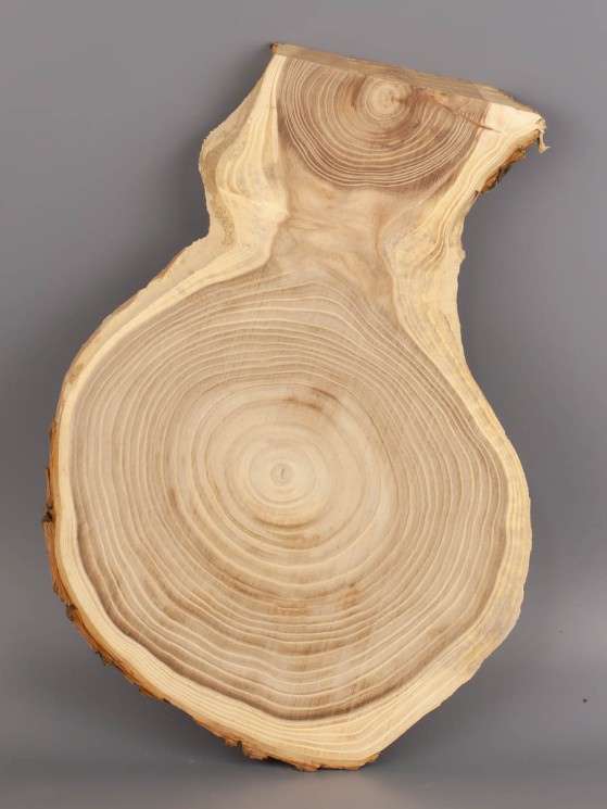 Спил дерева вяз (карагач) d 20-28 см ТВ-2027