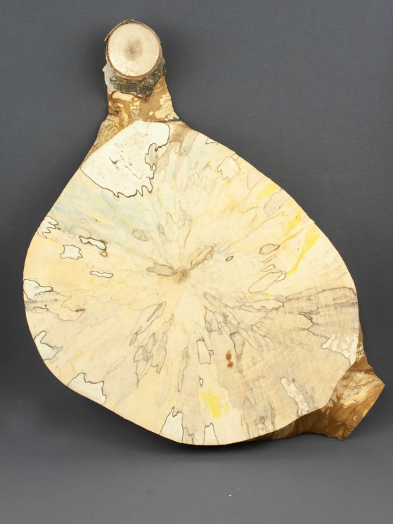 Спил дерева берёза (шпальт) d 21-32 см ТВ-1525