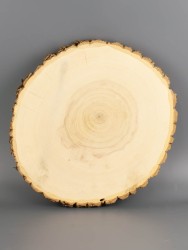 Спил дерева клён d 26-29 см ТВ-2028