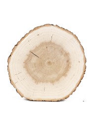 Спил дерева ива d 15-17 см ТВ-1168