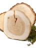Спил дерева липа d 20-22 см, толщина 19-20 мм ТВ-079