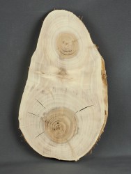 Спил дерева ива d 17-28 см ТВ-1753