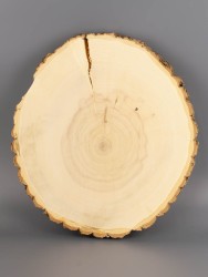 Спил дерева клён d 26-28 см ТВ-2029