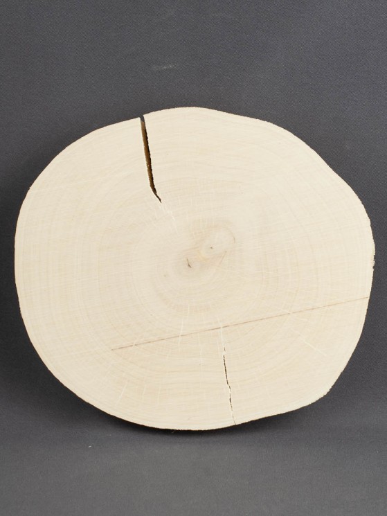 Спил дерева клён d 16-19 см ТВ-594