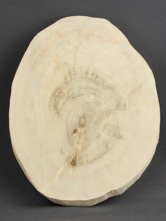 Спил дерева клён d 16-21 см ТВ-595