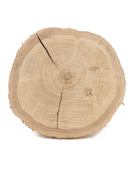 Спил дерева дуб d 14-16 см ТВ-1505