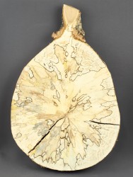 Спил дерева берёза (шпальт) d 24-35 см ТВ-1528