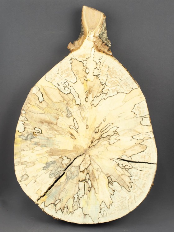 Спил дерева берёза (шпальт) d 24-35 см ТВ-1528