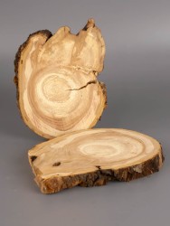 Спил дерева слива d 9-12 см (2 шт) ТВ-1919