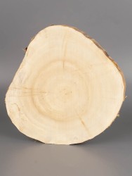 Спил дерева ива d 15-17 см ТВ-1920