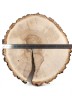 Спил дерева берёза d 43-45 см ТВ-951