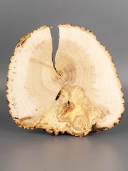 Спил дерева ива d 18-20 см ТВ-1921