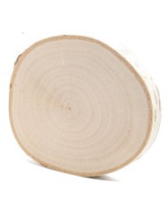 Спил берёзы d 12-13 см, толщина 15-16 мм (1 шт.) ТВ-046