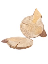 Спил лиственницы d 9-13 см (2 шт.) ТВ-1536