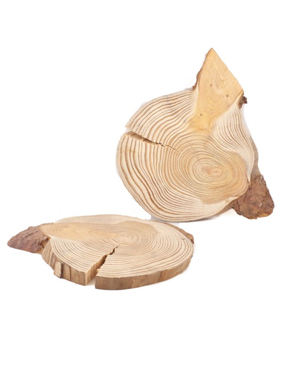 Спил лиственницы d 9-13 см (2 шт.) ТВ-1536