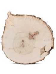 Спил дерева клен d 16-18 см, толщина 15-20 мм ТВ-389