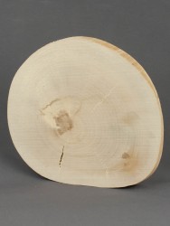 Спил дерева берёза d 13-15 см ТВ-1399