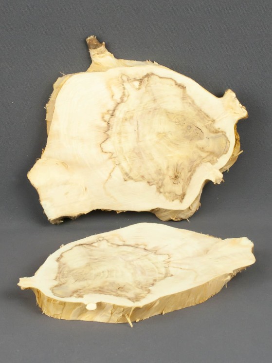 Спил клен d 7-9 см (2 шт.) ТВ-1538