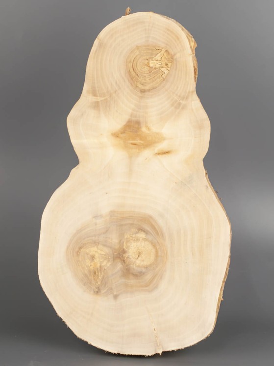 Спил дерева ива d 18-30 см ТВ-1820