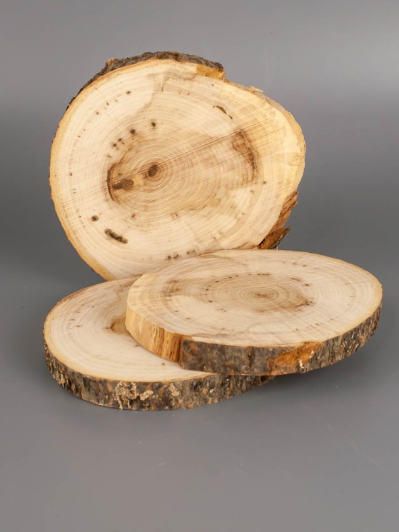 Спил дерева липа d 9-11 см (3 шт) ТВ-1927