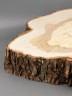 Спил дерева ива d 35-37 см ТВ-2120