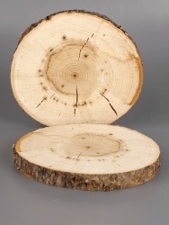Спил дерева липа d 9-11 см (2 шт) ТВ-1928