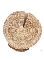 Спил дерева лиственница d 14-16 см ТВ-1180