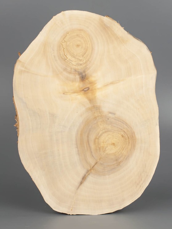 Спил дерева ива d 18-27 см ТВ-1822