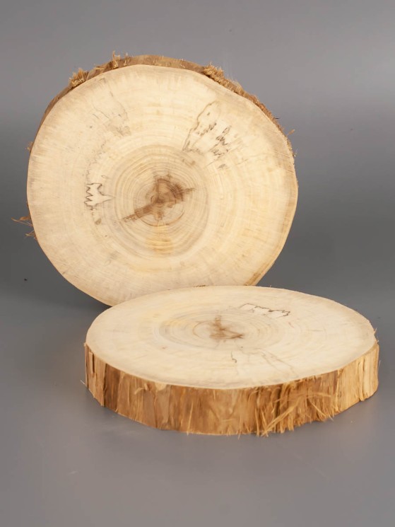 Спил дерева тополь d 9-11 см (2 шт) ТВ-1929