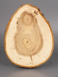 Спил дерева липа d 12-15 см ТВ-1930