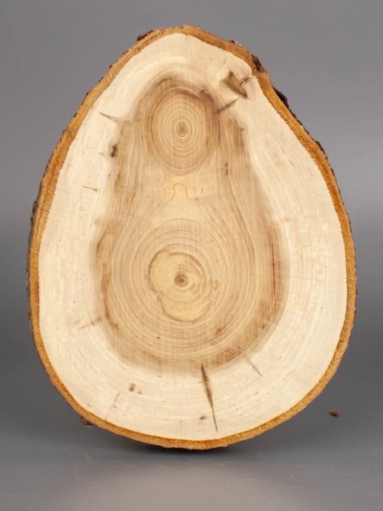 Спил дерева липа d 12-15 см ТВ-1930