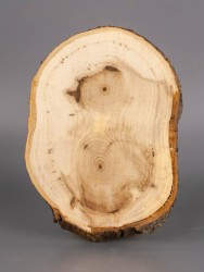 Спил дерева липа d 9-13 см ТВ-1931