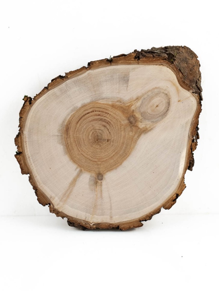 Спил дерева декоративный 30 х 50 мм, S = 4-8 мм