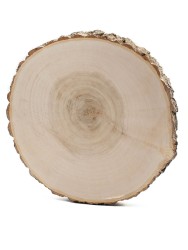Спил дерева клен d 19-21 см, толщина 15-20 мм ТВ-084