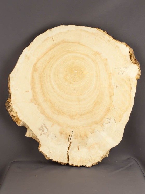 Спил дерева клён d 41-44 см ТВ-1725