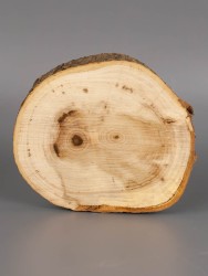 Спил дерева липа d 10-12 см ТВ-1933