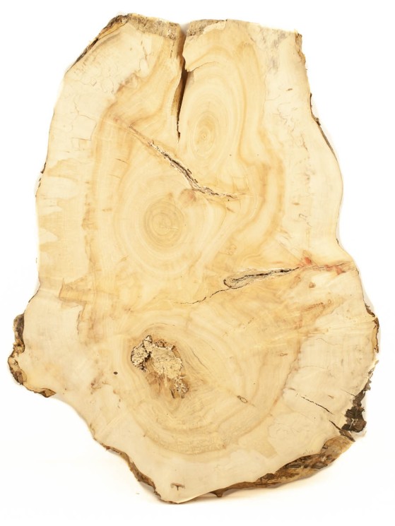 Спил дерева клён d 43-58 см ТВ-1760