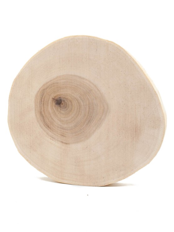 Спил дерева ива d 14-16 см, толщина 18-23 мм ТВ-397