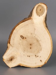 Спил дерева липа d 14-20 см ТВ-1934