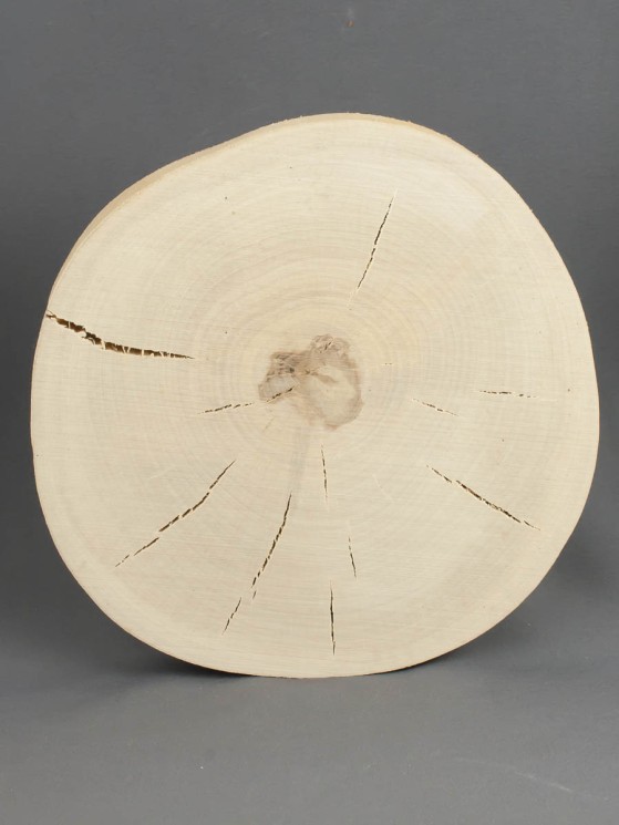 Спил дерева берёза d 19-21 см ТВ-1378