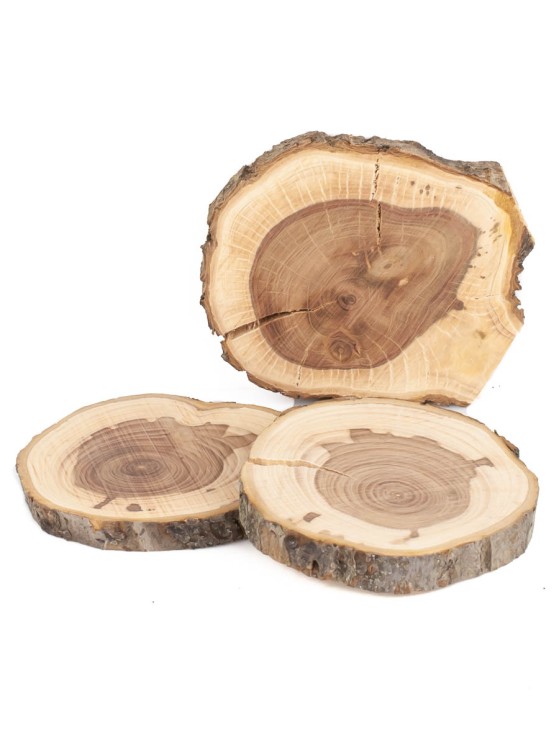 Спил дерева яблоня 7-10 см (3 шт.) ТВ-1407