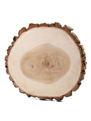Спил дерева ива d 19-22 см, толщина 20-21 мм ТВ-087