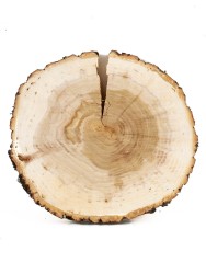 Спил дерева ива d 18-20 см ТВ-1201