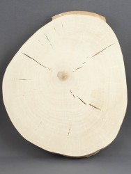 Спил дерева берёза d 21-25 см ТВ-1379